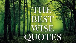 5 Wisest Quotes Ever [upl. by Keefer]