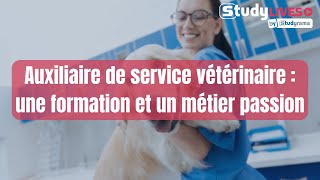 Auxiliaire de service vétérinaire  une formation et un métier passion [upl. by Nylzor]