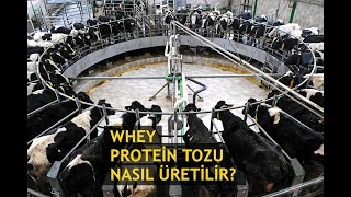 Whey Protein Tozu Nasıl Üretilir  Türkçe Altyazı [upl. by Shaylynn322]