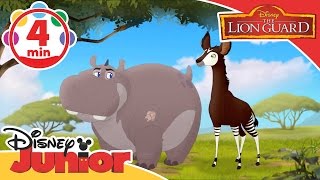 The Lion Guard  The Imaginary Okapi  Disney Junior UK [upl. by Olzsal587]