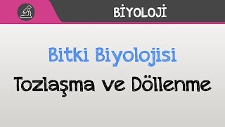 Bitki Biyolojisi  Tozlaşma ve Döllenme [upl. by Ydnerb983]