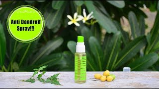 Spray This Once To Remove Dandruff amp Itchiness Permanently  Powerful Homemade Anti Dandruff Spray [upl. by Oicnaneb]