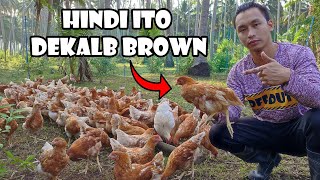 Hindi Ito Dekalb Brown  Ang Katotohanan [upl. by Niram]