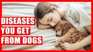 10 Diseases You Can Get if You Sleep with Dogs [upl. by Bobker138]