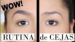 Cejas Perfectas Facil Paso a Paso  Eyebrow Tutorial  Ydelays [upl. by Grimbly]