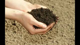 What is Loam Soil [upl. by Dionysus]