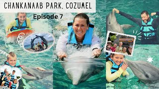 Cozumel Sea Lion Encounter at Chankanaab Park [upl. by Hollah]