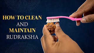 How to Clean amp Maintain Rudraksha  Rudralife [upl. by Jit]