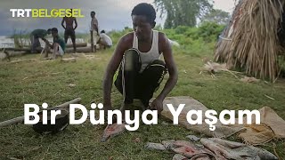 Bir Dünya Yaşam  Afrikada Balıkçılık  TRT Belgesel [upl. by Hairej64]