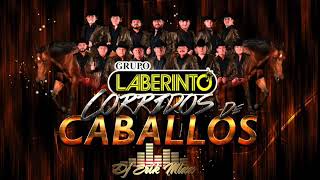 Grupo Laberinto  Corridos de Caballos Mix 2019 Dj Erik Mixx [upl. by Euqinahc]