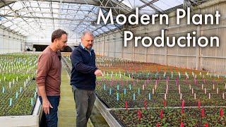 Tour of an Amazing Tissue Culture Plant Nursery [upl. by Novhaj]