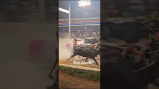 Mangaluru Kambala [upl. by Marla734]