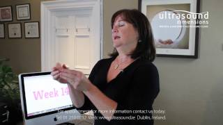 14 Weeks Pregnant  Your 14th Week Of Pregnancy [upl. by Reeva]