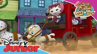 Sheriff Callie  Driving Song  Official Disney Channel Africa [upl. by Jamin]