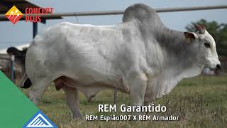 Rem Garantido [upl. by Leimad]