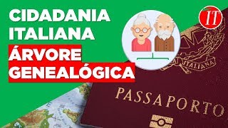 Curso Grátis CIDADANIA ITALIANA Aula 3 Como montar sua árvore genealógica [upl. by Namreg]