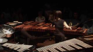 Steve Reich Electric Counterpoint ver for percussions by kuniko [upl. by Brady847]