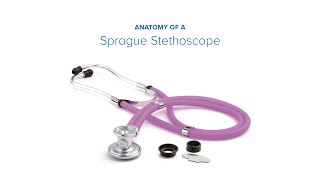 Anatomy of a Sprague Stethoscope [upl. by Kessia]