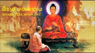 BINARA FULL MOON POYA DAY [upl. by Ybot822]