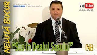 NELUTA BUCUR  Sus in Dealul Sasului live video [upl. by Statis]