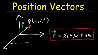 Position Vectors and Displacement Vectors  Physics [upl. by Nilson]