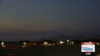 Carolina Forest wildfire  Myrtle Beach South Carolina [upl. by Salsbury]