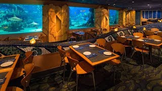 4K Coral Reef Restaurant  Epcot [upl. by Eelaras]