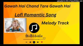 Gawah Hai Chand Tare  Romantic Lofi Song Audio Song [upl. by Potash]