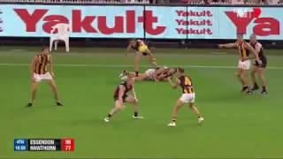 Round 1 AFL  Essendon v Hawthorn Highlights [upl. by Naihs841]