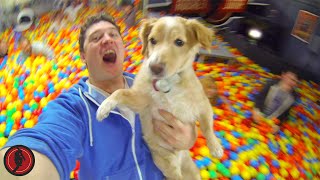 Worlds Biggest Ball Pit PRANK ft Roman Atwood [upl. by Eniamzaj]