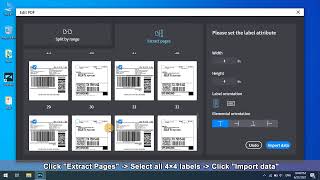 Labelife PC Tutorial How to Crop and Print Amazon 4x4 amp 4x6 Shipping Label丨TipsampTricks for Labelife [upl. by Sy]