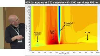 quotUltrafast processes explored by spectroscopyquot Mikas Vengris  Open Readings 2015 [upl. by Jacki132]