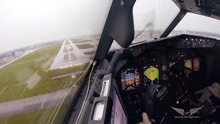 Stormy crosswind landing in LGW  Boeing 737 Captains view [upl. by Sergio361]