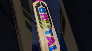 Top grade cricket bat [upl. by Aeuhsoj]