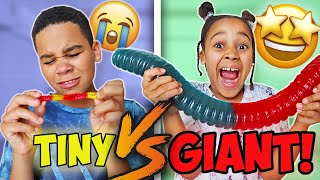 GIANT CANDY vs TINY CANDY CHALLENGE [upl. by Demakis]