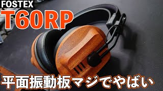 【レビュー】ついに平面駆動型ドライバーデビュー音質に大感激 [upl. by Thormora]