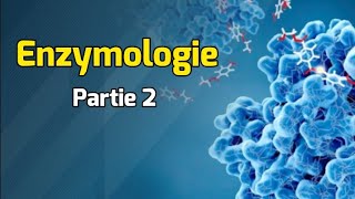 Classification des enzymes  Cours Enzymologie partie 2 [upl. by Darum]