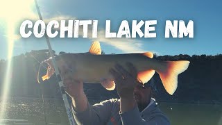 Cochiti Lake NM 2022 Channel Catfish [upl. by Terrena]