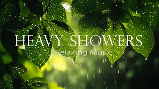 Refreshing Rain Sounds to Recharge Your Mind Relax Fall Asleep Fast Natural Rain Sounds [upl. by Pavyer]