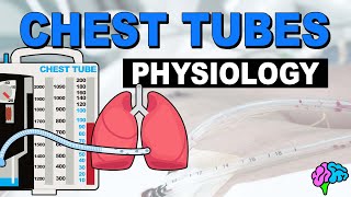 Chest Tube Physiology Review [upl. by Orelu]