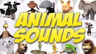 Learn Animal Sounds [upl. by Peggy567]