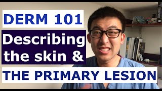 DERM 101  The Primary Lesion and Describing the Skin Exam [upl. by Trenton]