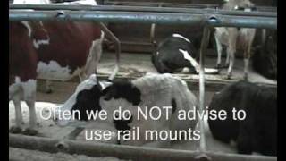 Wilson Ag Rail Mounted cow cubicles [upl. by Sahcnip131]