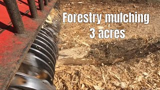 Forestry Mulching a 3 Acre Lot [upl. by Simonne432]