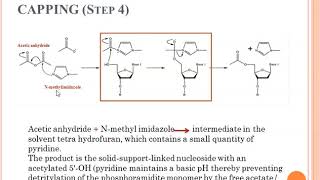 Synthesis of DNA Oligonucleotides [upl. by Jane622]