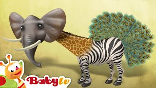 Animals  Riddle Games With Animals  BabyTV [upl. by Ahsieka895]