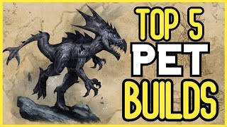 Top 5 PET Builds For The Elder Scrolls Online ESO Flames Of Ambition DLC Update [upl. by Stein898]