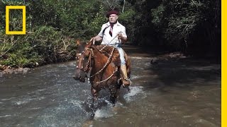 Horses and Solitude Inside the Life of a Brazilian Gaúcho  Short Film Showcase [upl. by Chapnick]