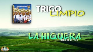 Trigo Limpio  La Higuera Video de Letras [upl. by Einna]