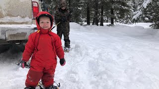 Snowshoeing with kids [upl. by Eleon]